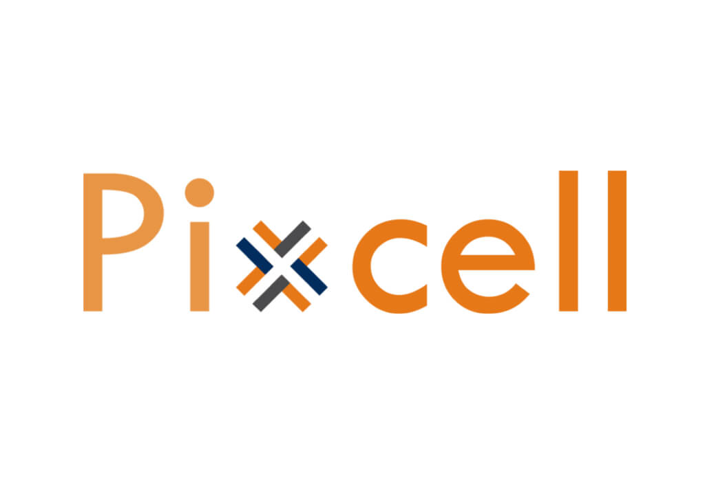 Pixcell - HashBUGS Solutions - Best Web Development - Branding - Marketing - Digital Transformation Company